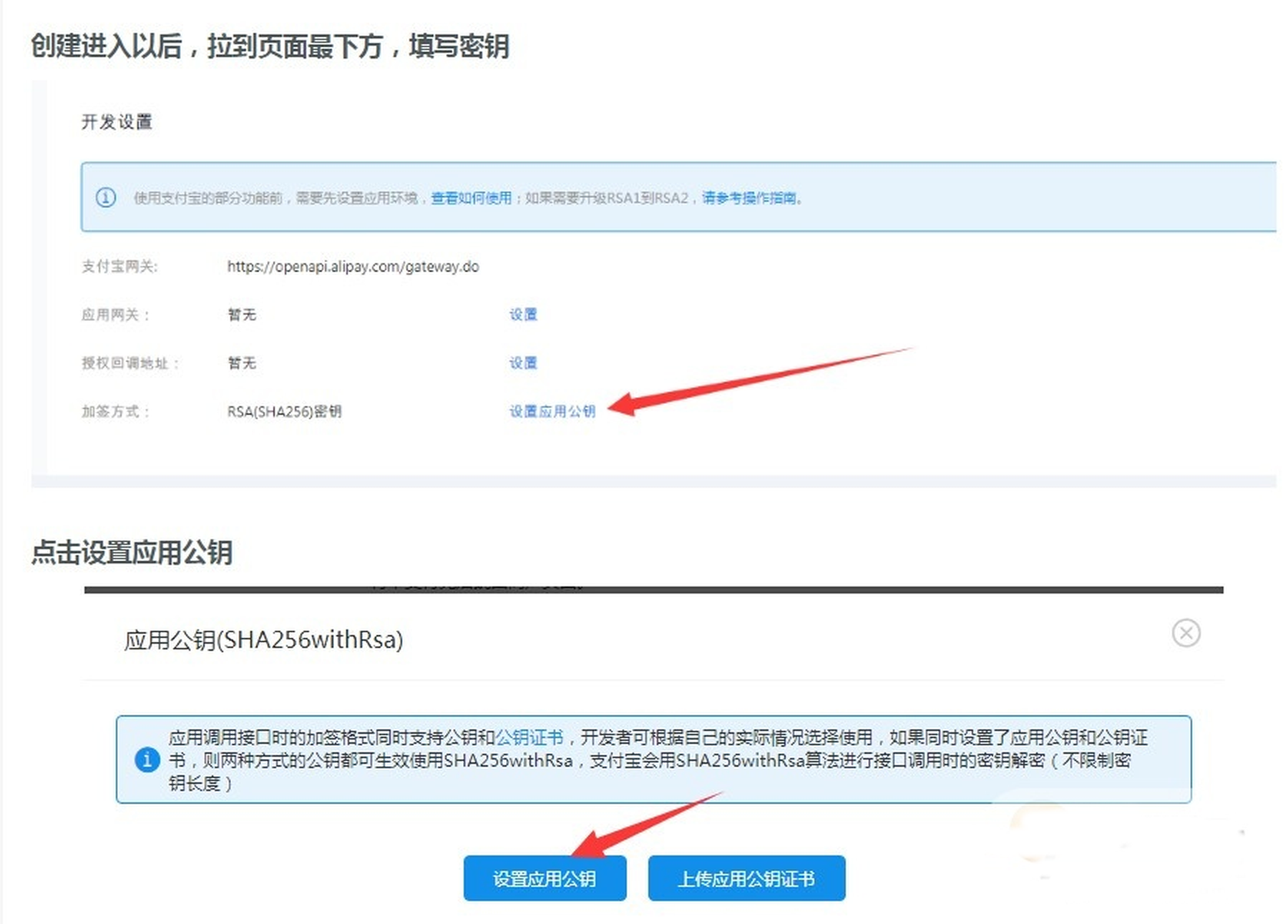  Ripro主题支付宝当面付(免签约)详细教程（ripro支付宝当面付配置教程） 技术教程