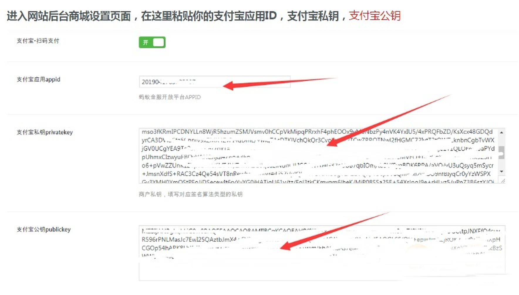  Ripro主题支付宝当面付(免签约)详细教程（ripro支付宝当面付配置教程） 技术教程