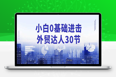 小白0基础进击外贸达人30节课程