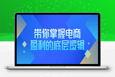 电商课程：带你掌握电商盈利的底层逻辑