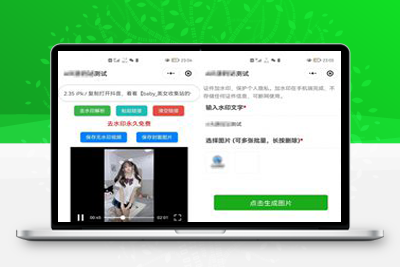 简约短视频去水印加图片多样化加水印微信小程序源码下载支持多流量主