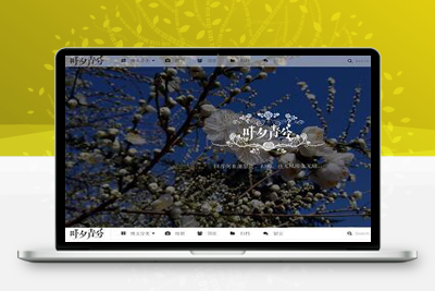 wordpress极简优秀的博客主题–ErlSimple主题