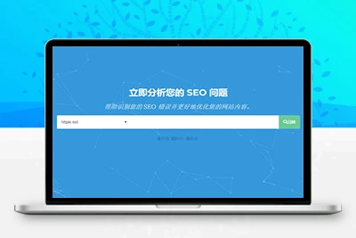 SEO优化在线优化检测分析源码，来获得更高收录。
