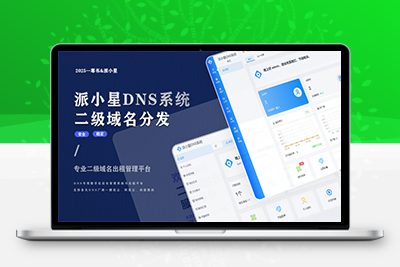 2025派小星DNS二级域名分发源码V1.0.1